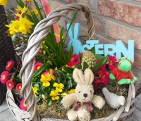 Frohe Ostern