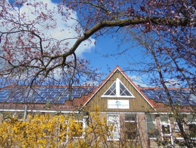 Naturtage bei den Tigern